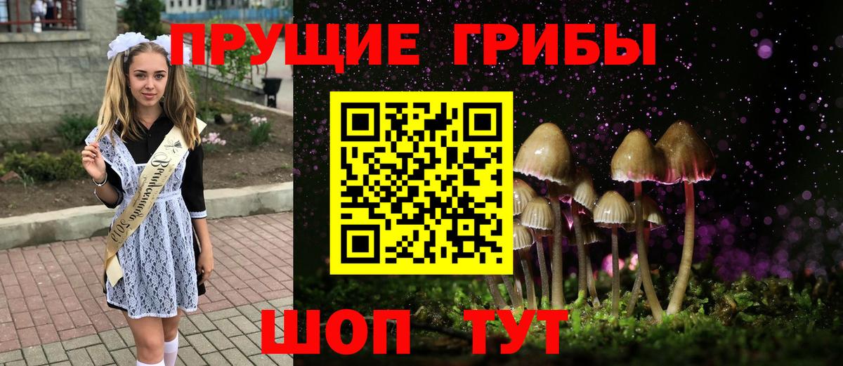 Сунжа  Галлюциногенные грибы прущие грибы  Вход с VPN 