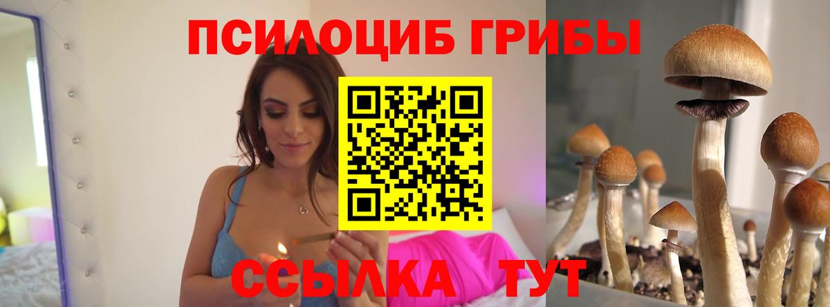 Псилоцибиновые грибы GOLDEN TEACHER Сунжа